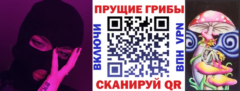 Купить где  Унеча  Галлюциногенные грибы Psilocybe 